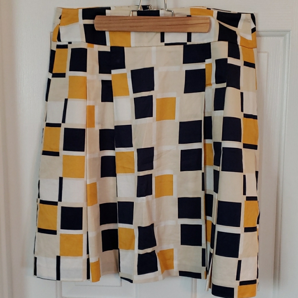 Ann Taylor skirt